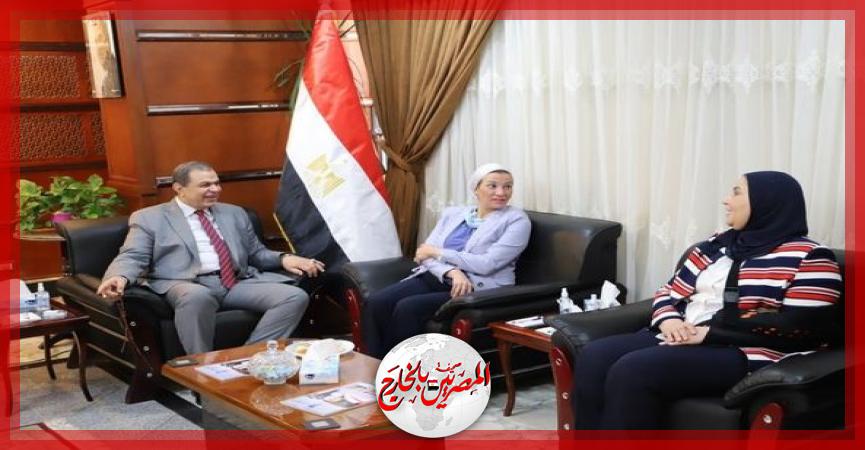 المصريين بالخارج