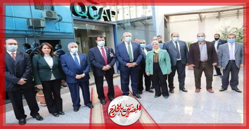 المصريين بالخارج