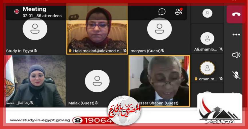 المصريين بالخارج