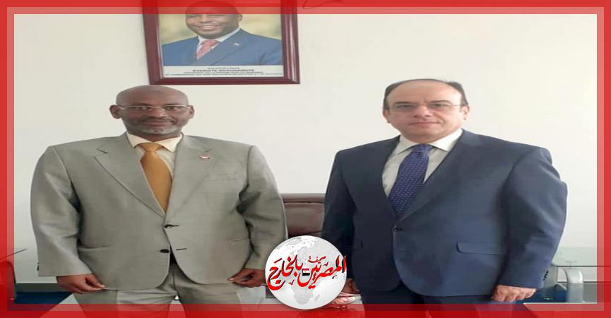 المصريين بالخارج