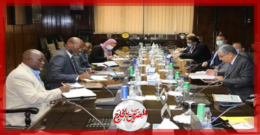 المصريين بالخارج