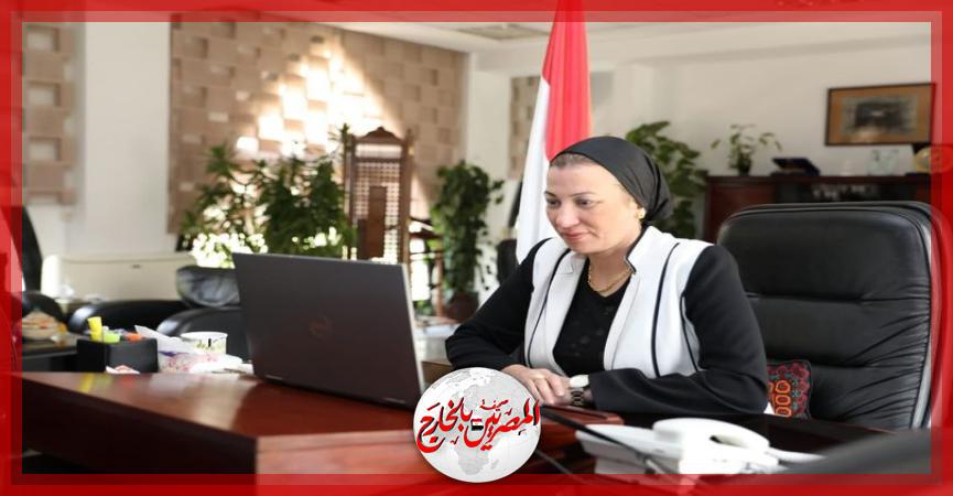 المصريين بالخارج