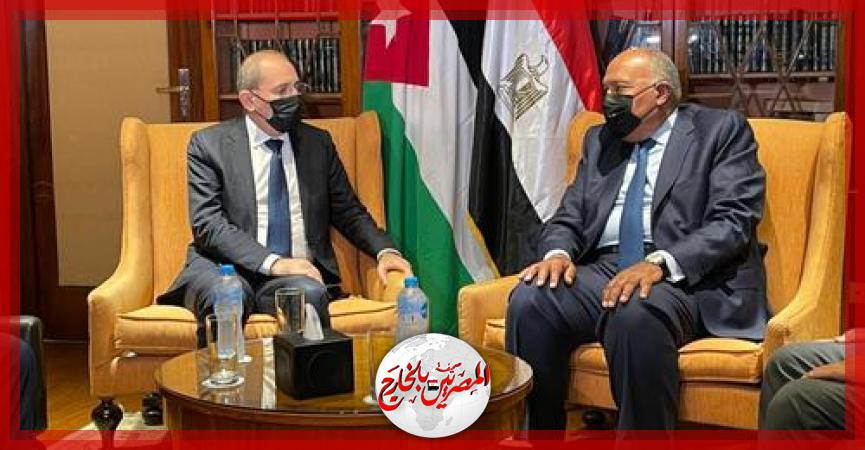 المصريين بالخارج