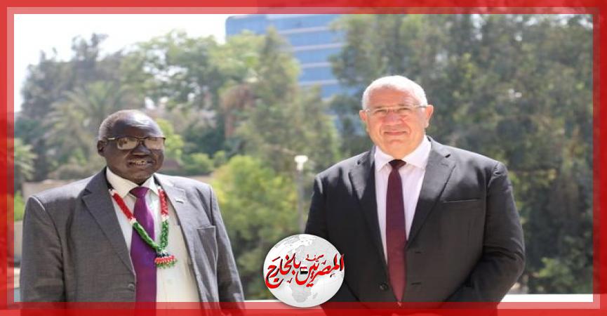 المصريين بالخارج