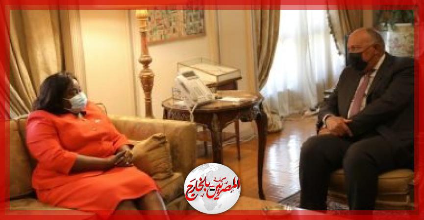 المصريين بالخارج