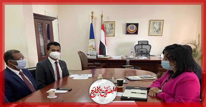 المصريين بالخارج