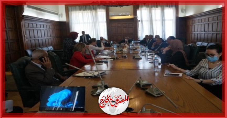 المصريين بالخارج