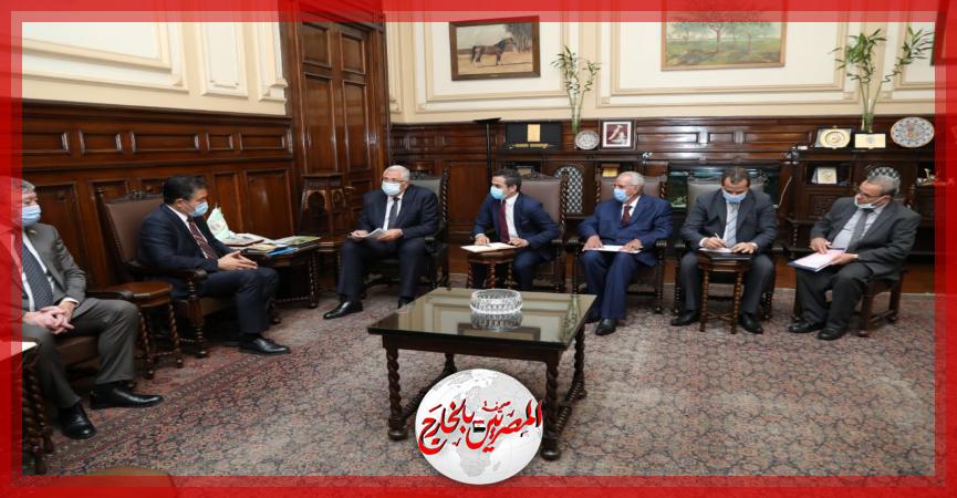 المصريين بالخارج