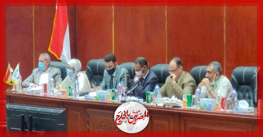 المصريين بالخارج