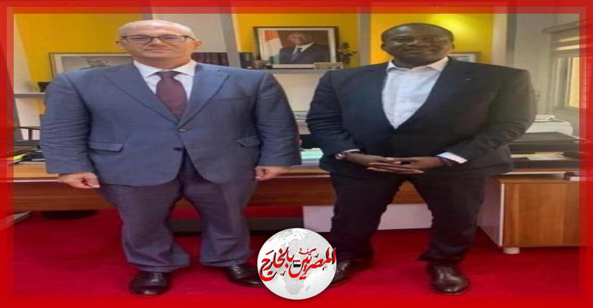 المصريين بالخارج