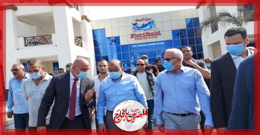 المصريين بالخارج