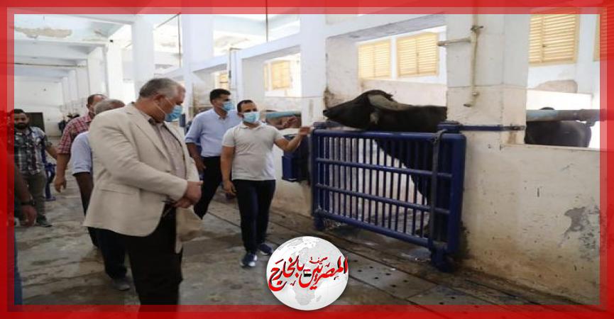 المصريين بالخارج