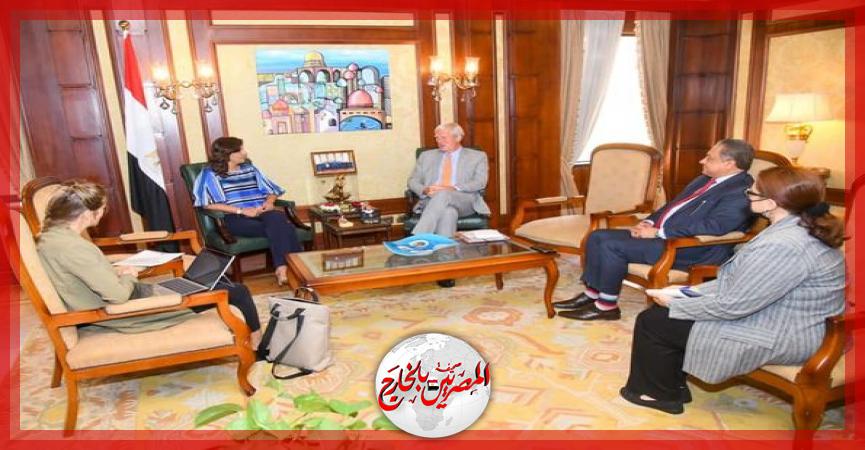 المصريين بالخارج