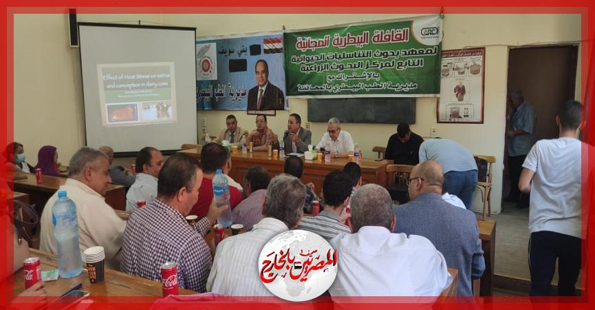 المصريين بالخارج