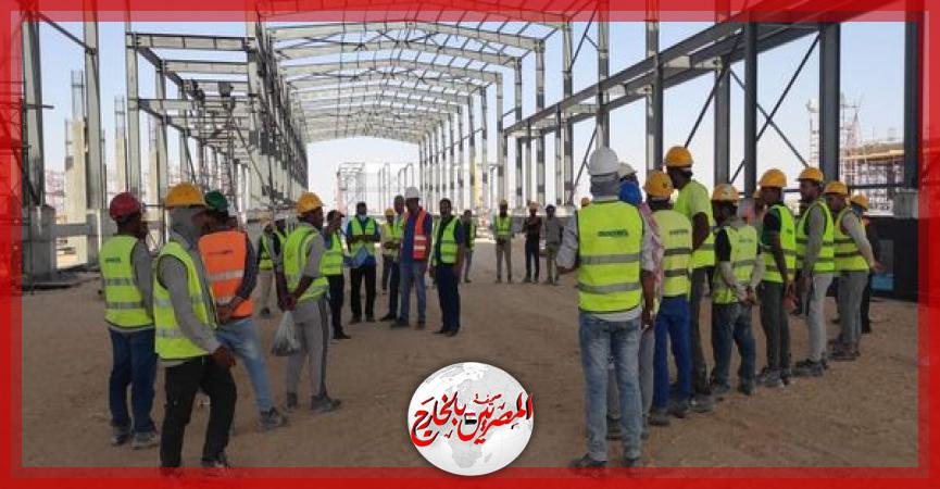 المصريين بالخارج