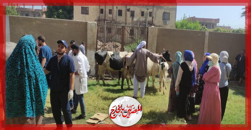 المصريين بالخارج