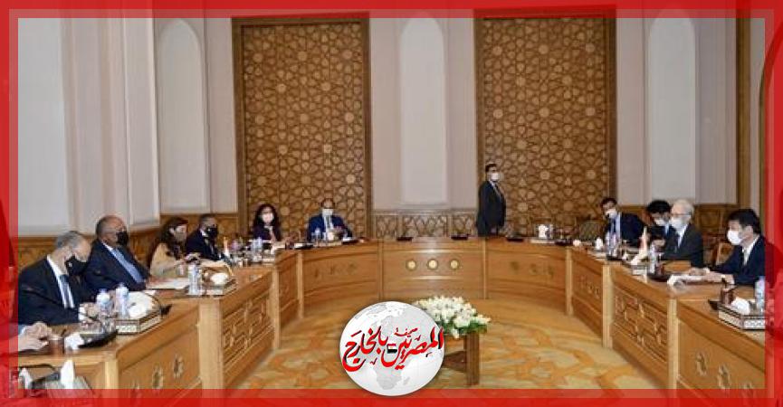 المصريين بالخارج