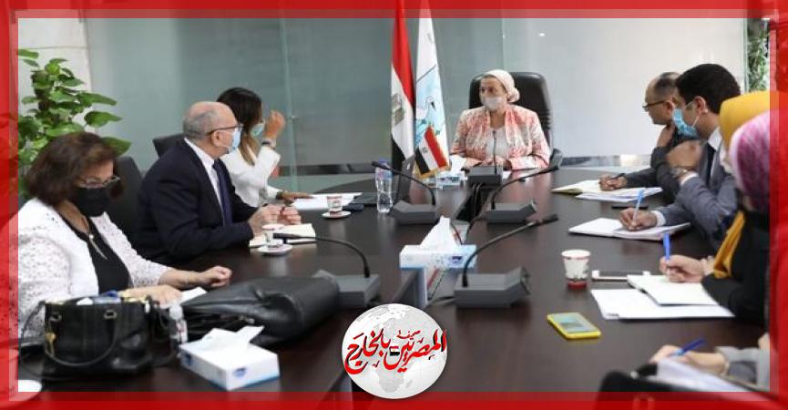 المصريين بالخارج