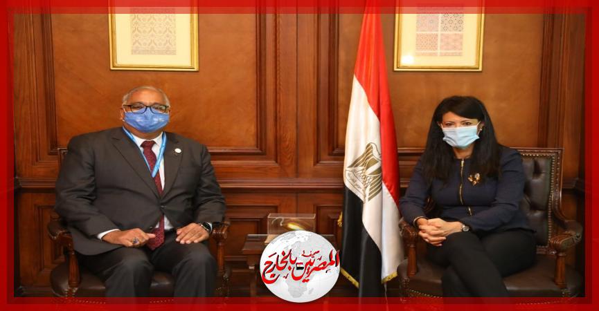 المصريين بالخارج