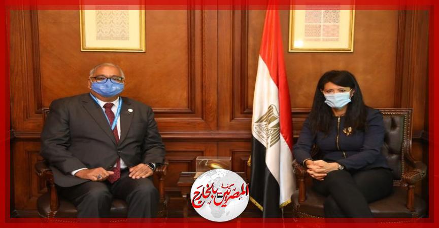 المصريين بالخارج