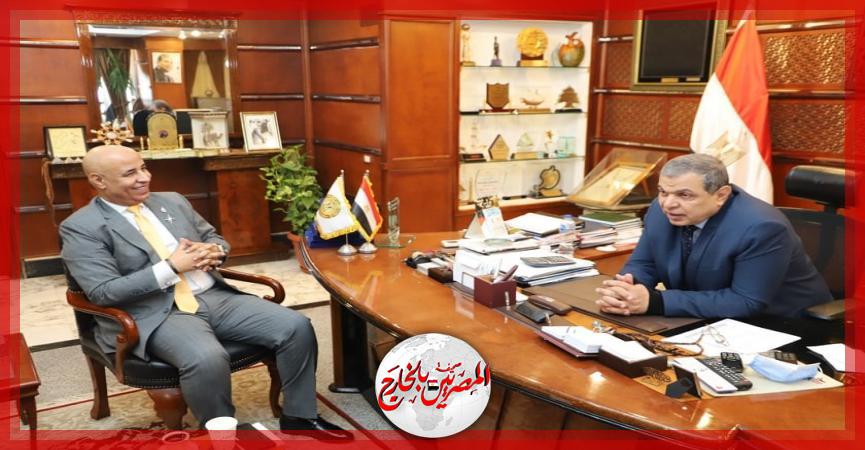 المصريين بالخارج