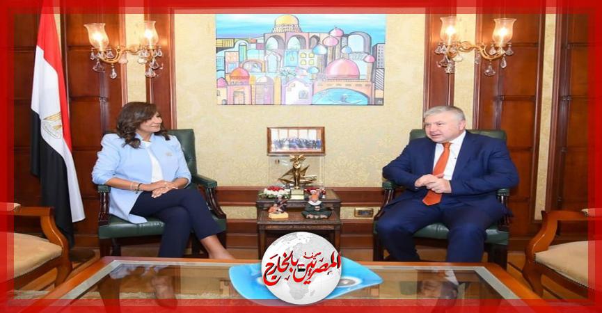 المصريين بالخارج