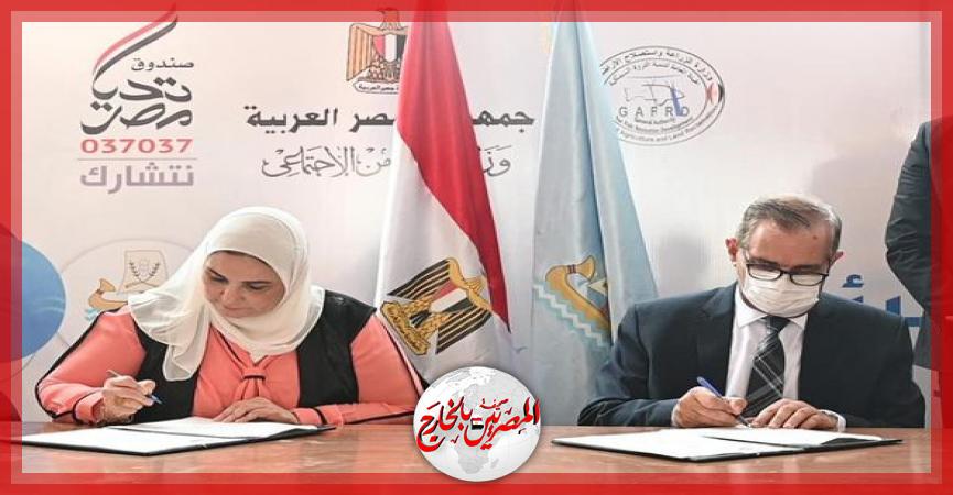 المصريين بالخارج