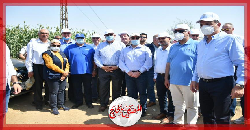 المصريين بالخارج