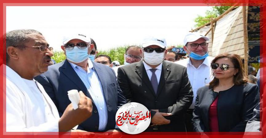 المصريين بالخارج