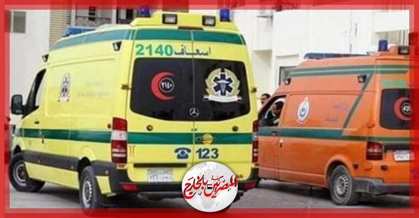 المصريين بالخارج