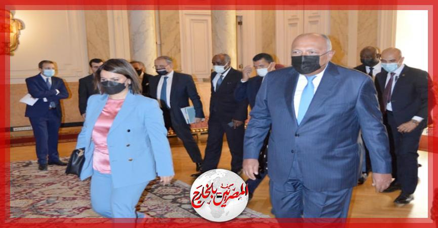 المصريين بالخارج