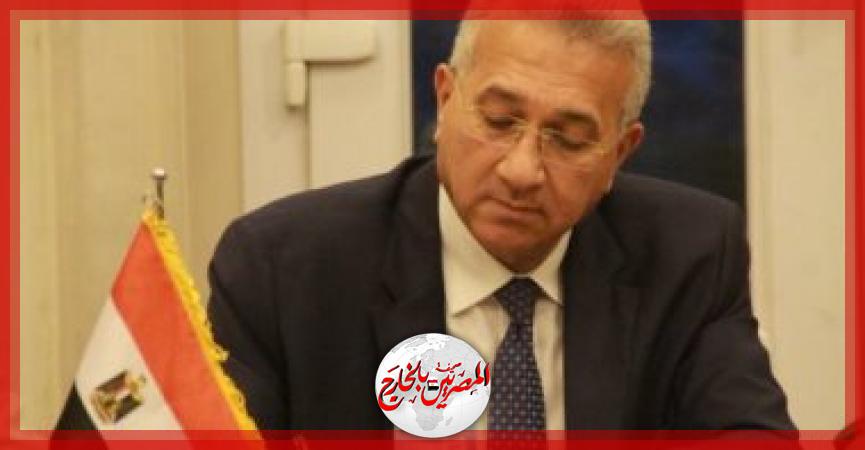 المصريين بالخارج