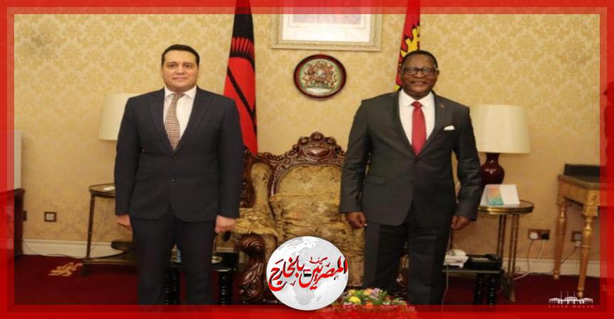 المصريين بالخارج