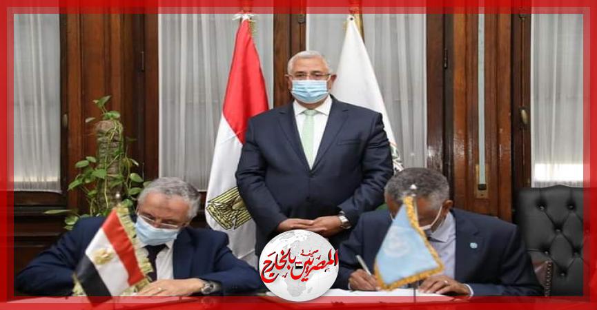 المصريين بالخارج