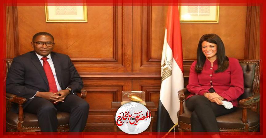 المصريين بالخارج