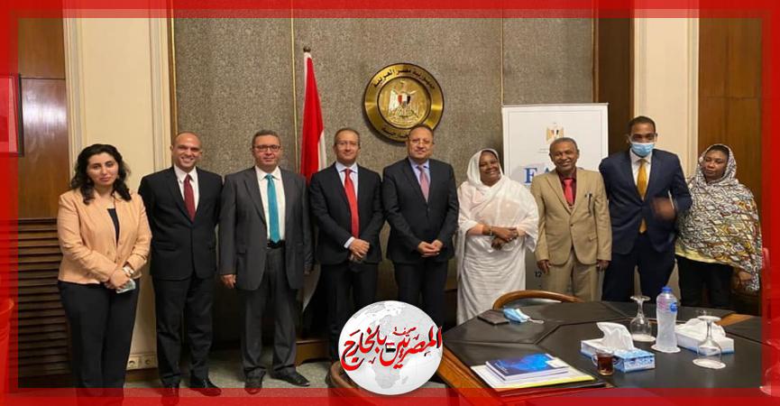 المصريين بالخارج