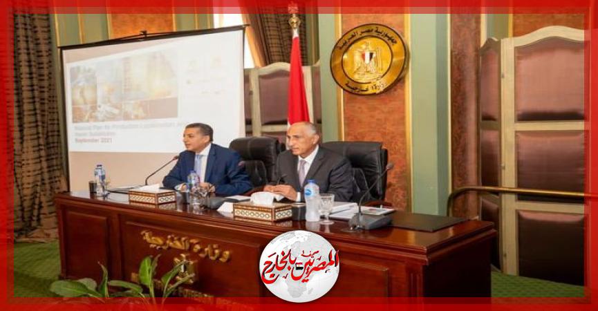 المصريين بالخارج