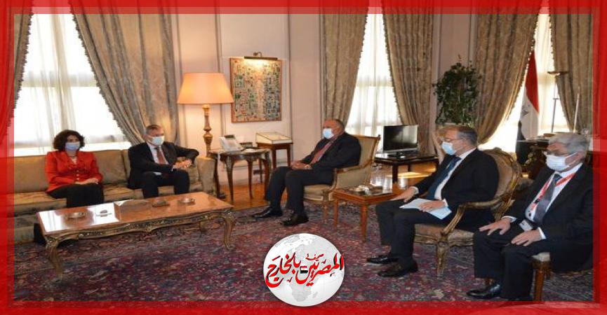 المصريين بالخارج