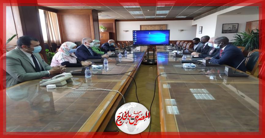 المصريين بالخارج