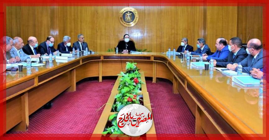 المصريين بالخارج