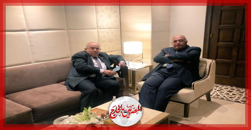 المصريين بالخارج