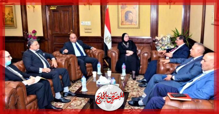 المصريين بالخارج