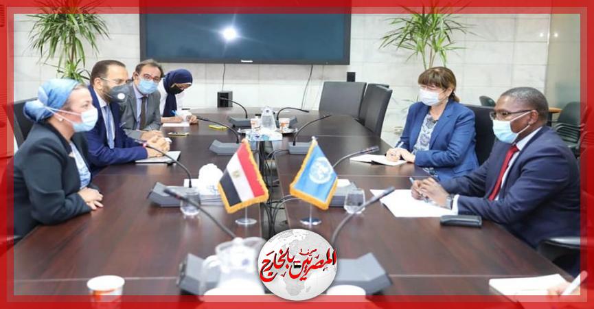 المصريين بالخارج