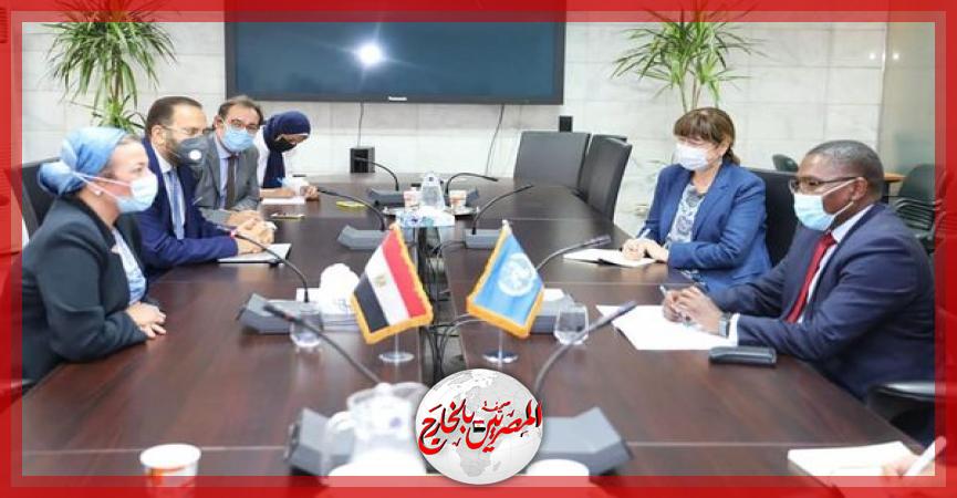 المصريين بالخارج