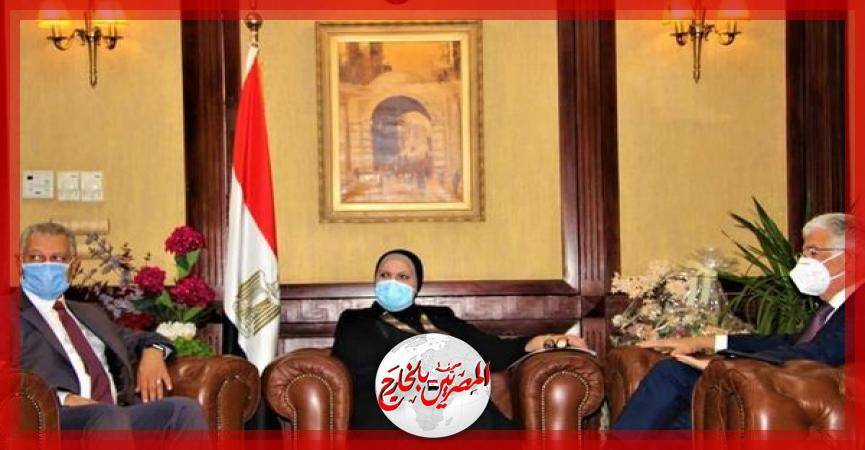 المصريين بالخارج