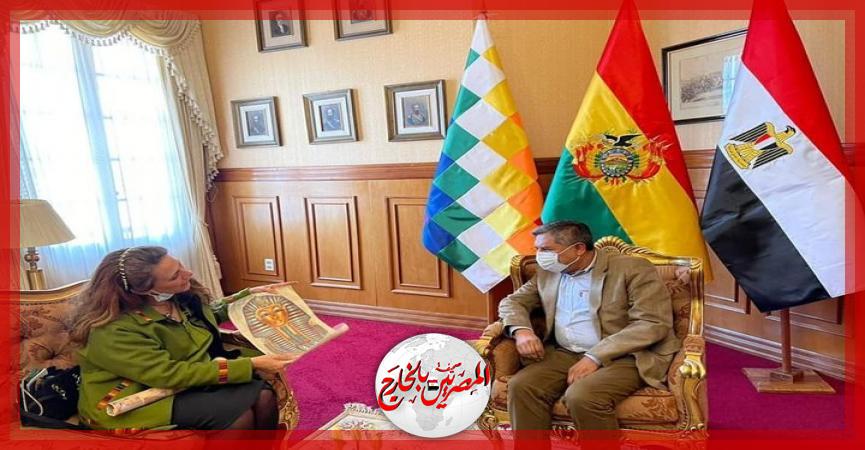 المصريين بالخارج