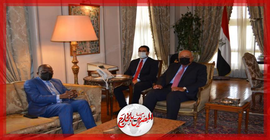 المصريين بالخارج