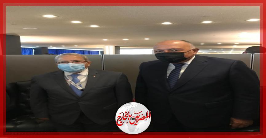 المصريين بالخارج