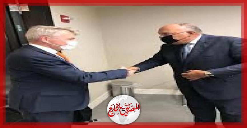 المصريين بالخارج