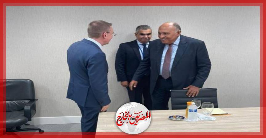 المصريين بالخارج